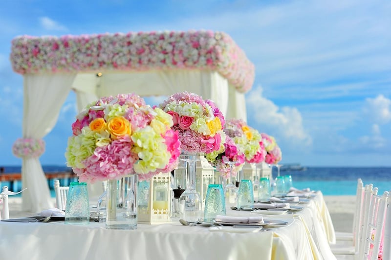 Wholesome Outdoor Dining