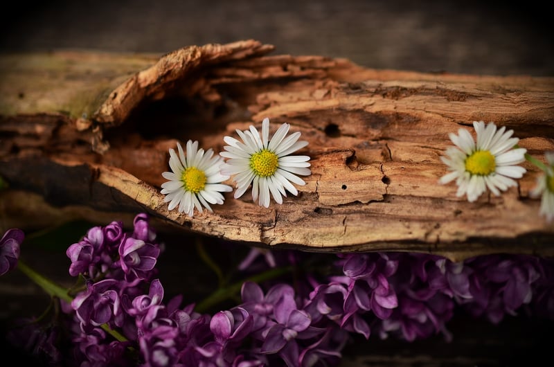 Natural Elements